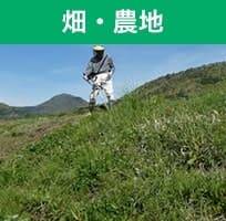 畑・農地