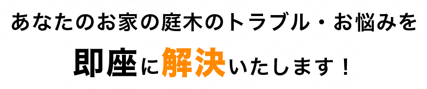 あなたのお家の庭木のトラブル・お悩みを 即座に解決いたします！