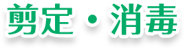 剪定・消毒