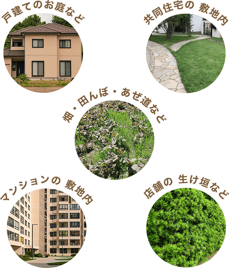 戸建てのお庭など・共同住宅の敷地内・マンションの敷地内・店舗の生け垣など・畑・田んぼ・あぜみ道など